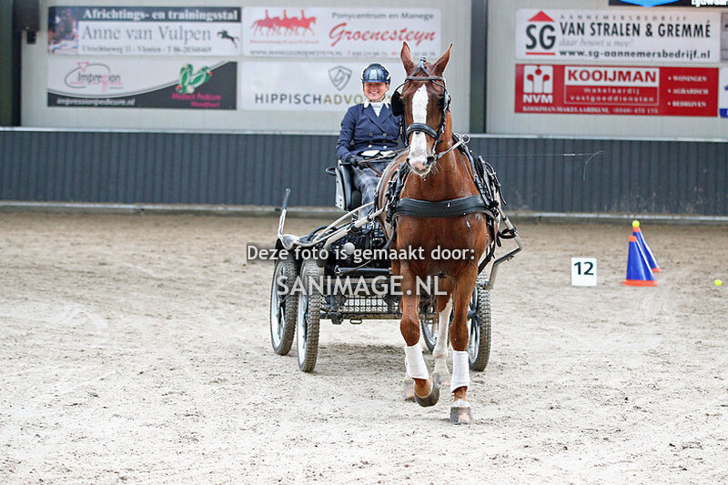 De Voornruiters De Meern Mennen Vaardigheid 11-03-2023 Paarden (15.00-16.00 uur)