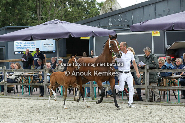 9 - Videe ( Olympus HS x Atleet ) 