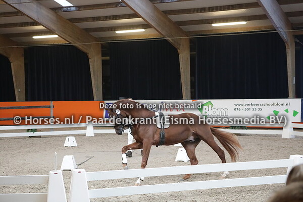 415 Furst Jazz x Sir Donnerhall