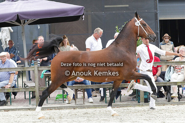 074 - ODEROSE MU CIZANDRO X UDO M. UINEKEN, DALEN