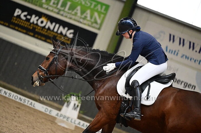 Willemijn Labrujere - Jillz Jr