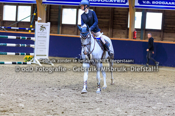 Geldrop Hippique -18 paard 100-110-120 12-10-25