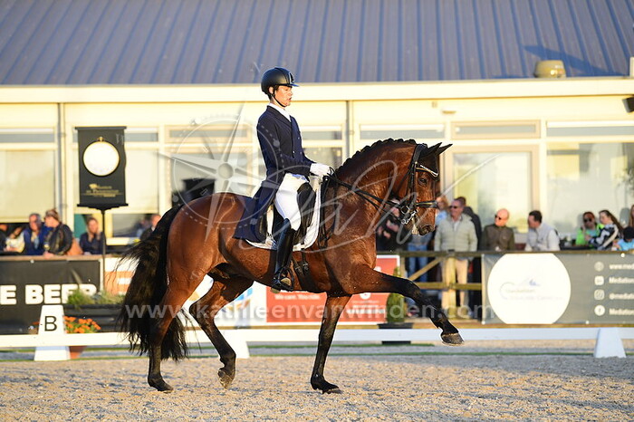 Kazuki Sado - Fuerst William