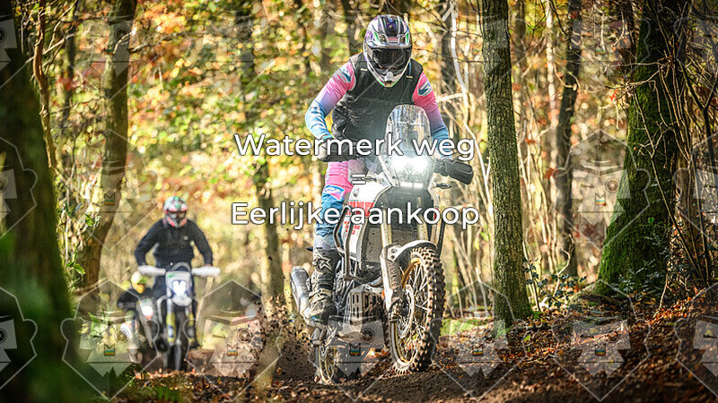 -- ONLINE -- OTR Markelo - Locatie Bos - Overige foto's/ spatbord kleuren