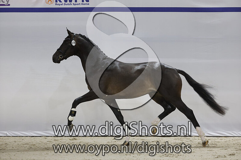 O Roark v. For Ferrero