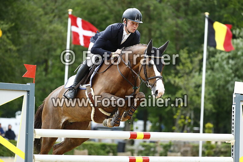 dennis van den brink