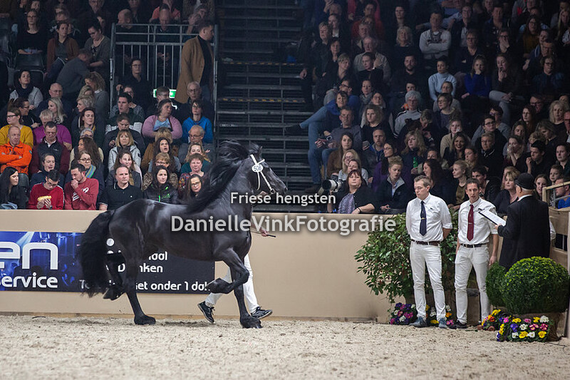 Hengstenkeuring 2020 Willem 508