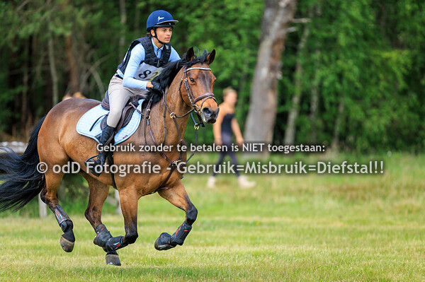 SGW Ede en Putten Pony Z Paard M 15-06-25