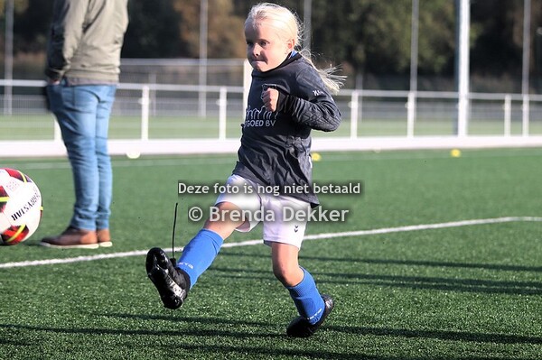 GVVV Jo8-5 - VVA Jo8