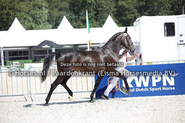 147 Lyanda BM (Guardian x Fyanda v. Sorento)