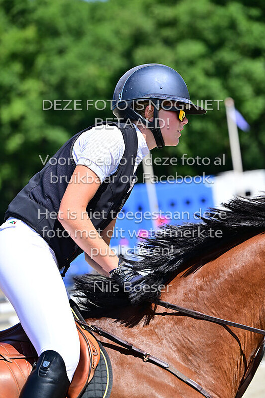 7 Paarden 1.20m 2 fasen special