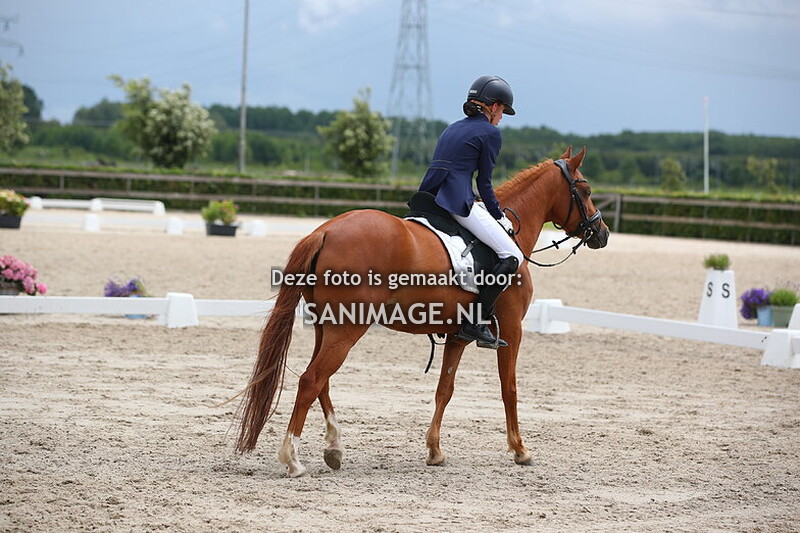 Zilfia's Hoeve Dressuur 16-06-2024 Ring 2 12.00-13.30 uur