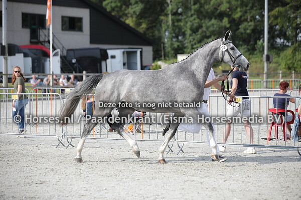 92 Odette (Emir R x Anouk v. Lupicor)