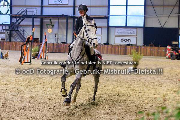 jumping indoor leunen paard 120cm 11-01-26