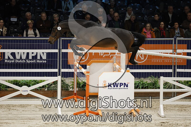 Reaction W Van 't Studutch v. Chacco Blue - 030