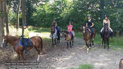 LRV Ponykamp 2015