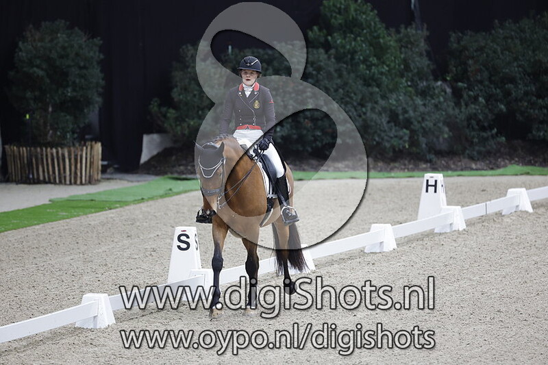 Obi Van De LitzemaereÂ 