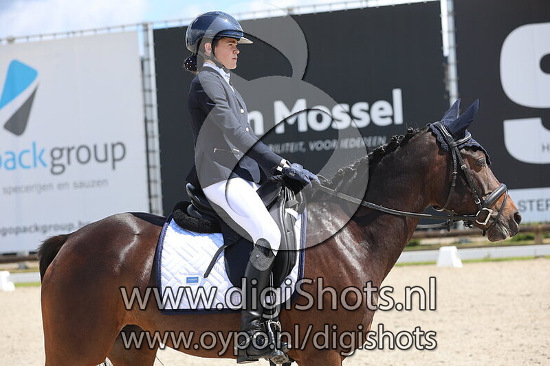 Nitouche van t Elshout