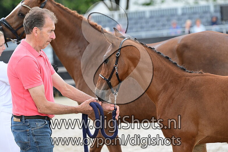 Uptown Girl DB - 134