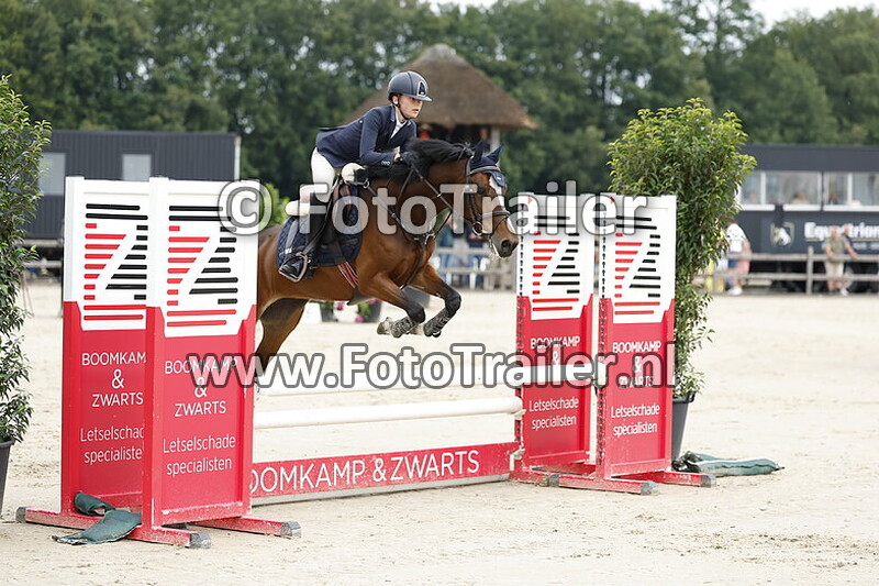 amarens van der vlis