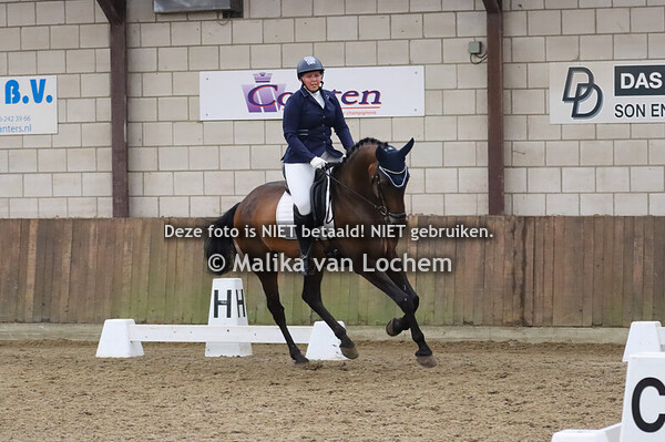 Dressuur eigen paarden