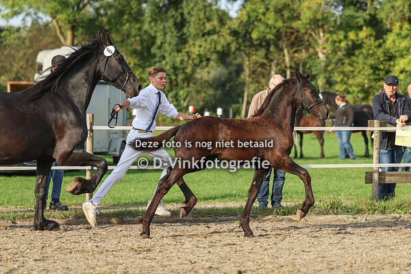 06. Foppe van d'n Meulenpad