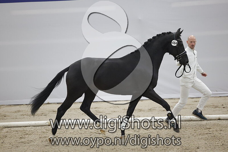 Pavlov v. Le Formidable - 484