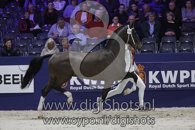 Picasso M v. Lanto HBC 724