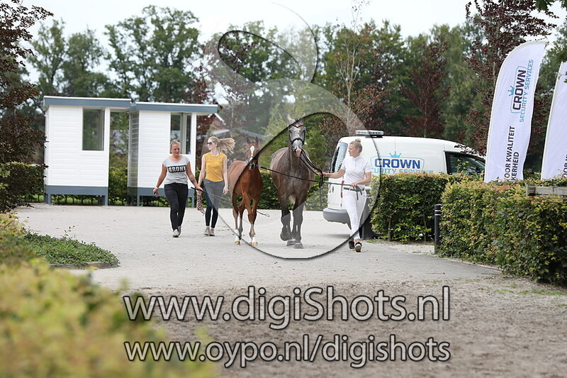 030 Re Lenphonie v. Gullit HBC