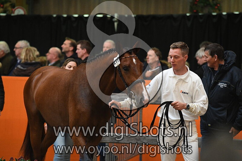 Morgins W v. Zirocco Blue VDL