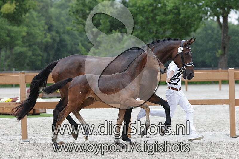 Vayatana v. Rome USB