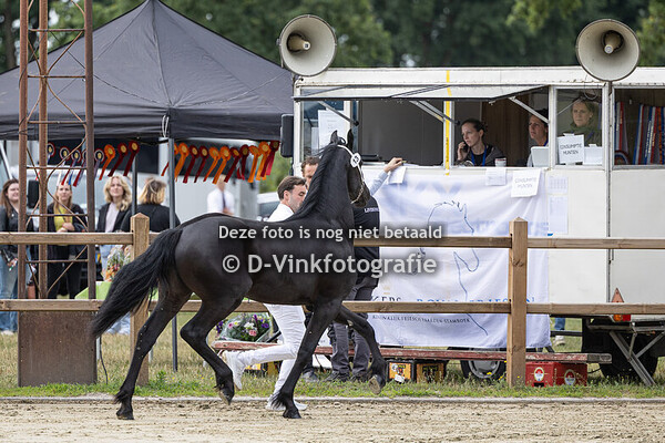 13. Ajana vom Krinneshof