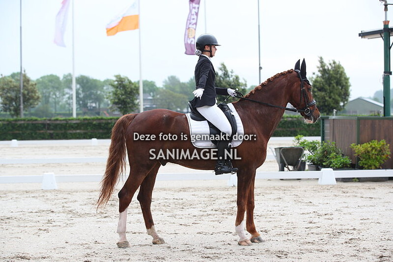 Nationaal scholenconcours 22-05-2024 Dressuur Ring 2 8.00 - 9.00 uur