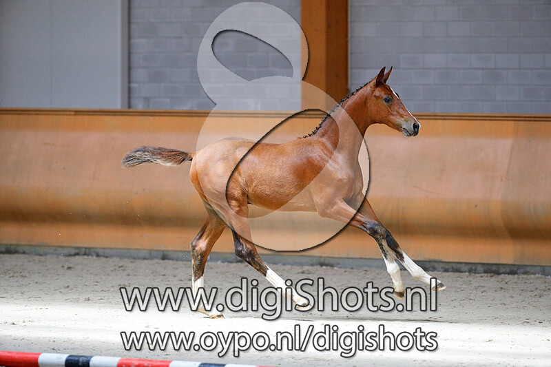 Nero H v. Hernandes TN