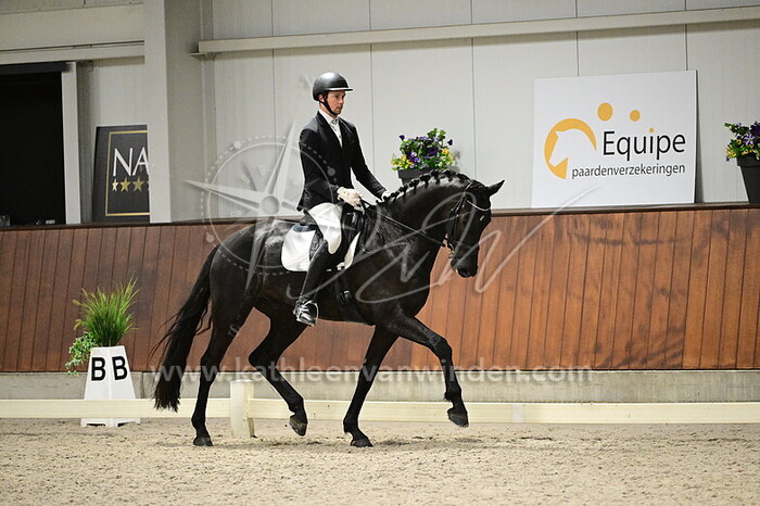 Wouter D'Hoore - Wyron Fetti SD