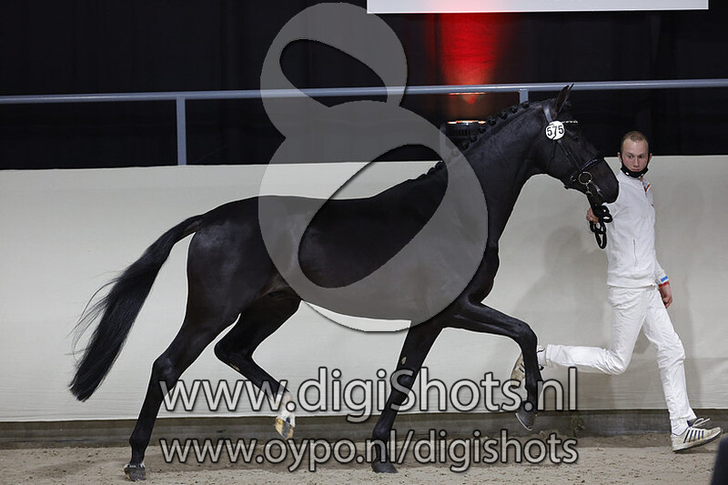 Obsession v. Vitalis