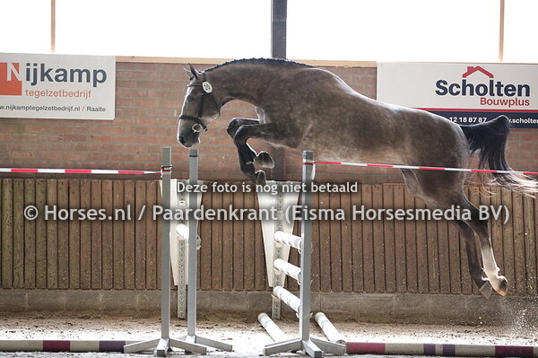 20 L'Amour (Armitage x Wat'n Pracht v. Candidat)