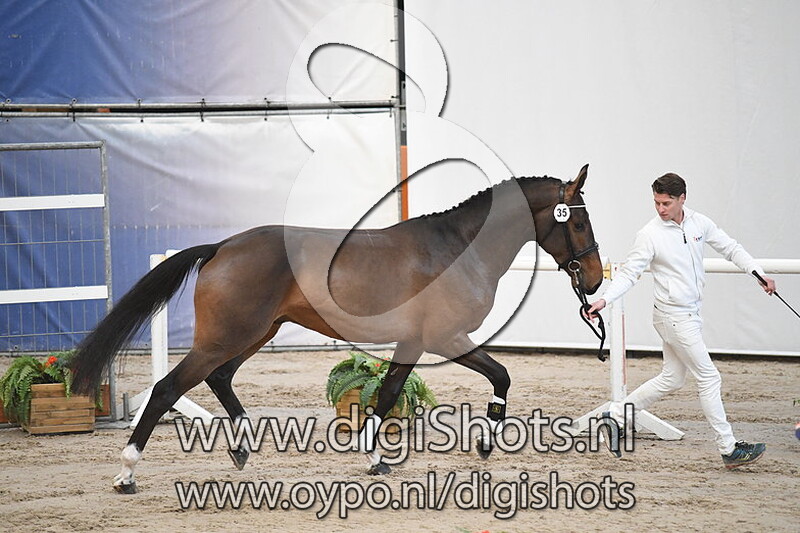 Movie Star v. Chapeau TN