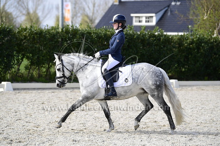 Yade Heestermans - Timber