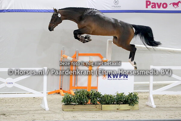 182 Newton (Toulon x Tirmette v. Hinault)