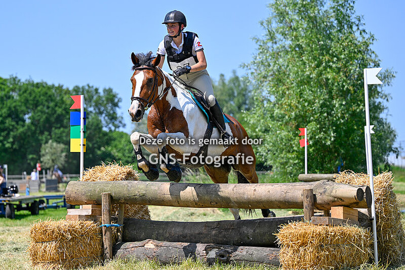 SGW Heerjansdam - Paarden L - Pony's M - Paarden M    zondag 4 juni 2023