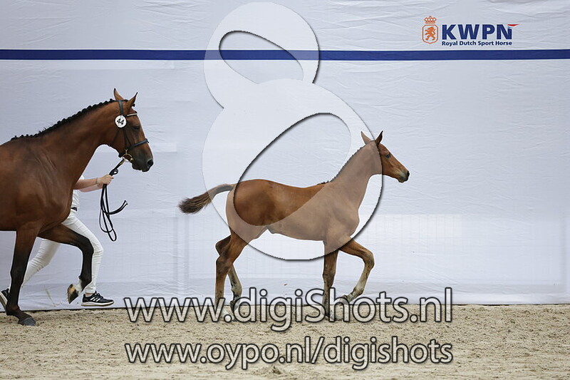 Vila v. Uranus van t Zorgvliet