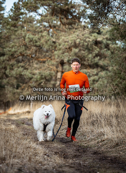 Mastboscross - 27-01 Canicross Kort