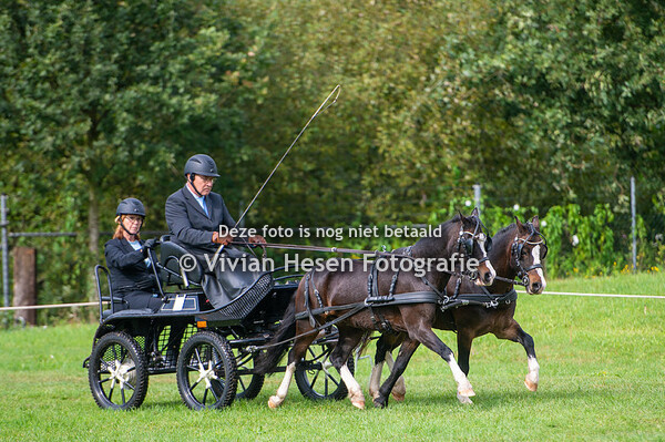 Nationale Welsh Sportdag