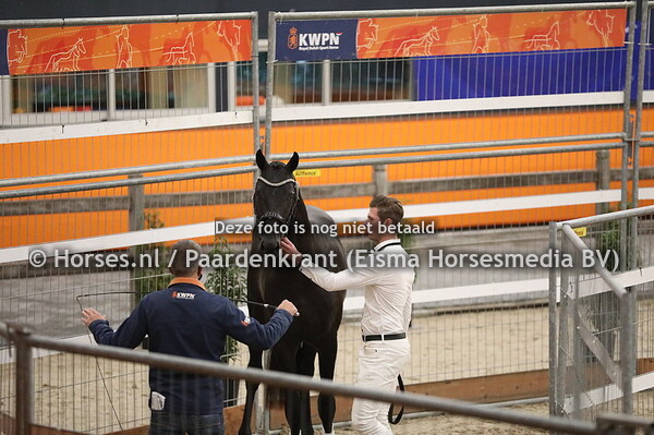 566 Trafalgar x Sandreo