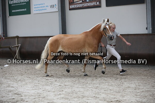 79 Wenga (Winzertraum x Alia)