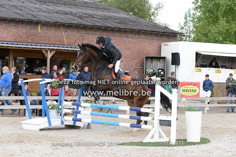 Paarden clear round 80