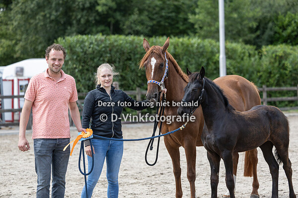 54. Florina fan Equilibrium