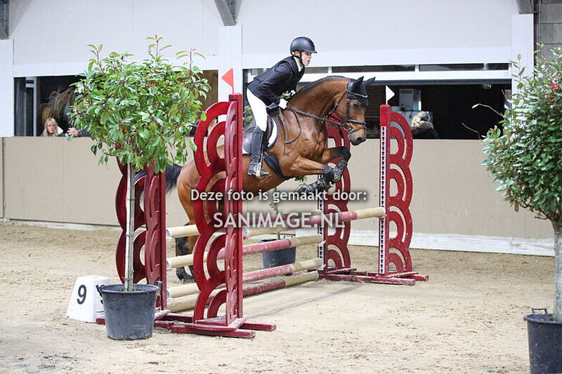 Zilfia's Hoeve Springen Pony's 30-11-2025 80 cm