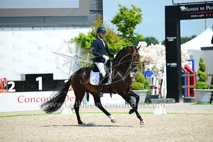 Ruben Mengual Reig - Viva Partout